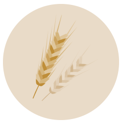 barley growers