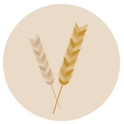 wheat growers